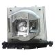 SP.8AE01GC01/BL-FP200E lamp for OPTOMA THEME-S HD71  THEME-S HD75  THEME-S HD...