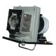 BL-FP230A lamp for OPTOMA EP747  DX608 