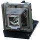Genuine PANASONIC PT-AE8000EH Projector Lamp - ET-LAA410