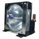 BQC-XGP10XE/1 Projector Lamp for SHARP XG-P10XE