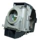 NP09LP Projector Lamp for NEC projectors