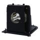 BL-FU250E / SP.L3703.001 Projector Lamp for OPTOMA THEMESCENE H78