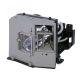 EC.J2901.001 Projector Lamp for ACER DNX0510