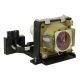 AJ-LT50 Projector Lamp for LG RD-JT52