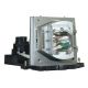 OPTOMA DAEPTLS Projector Lamp