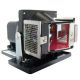 LG DW325B Original Inside Projector Lamp - Replaces AJ-LDS3 / EBT43485101