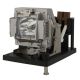 DIGITAL PROJECTION PROJECTION EVISION XGA 6500 Original Inside Projector Lamp - Replaces 110-284