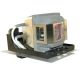INFOCUS DP1200X Original Inside Projector Lamp - Replaces SP-LAMP-013