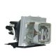 OPTOMA EX330e Original Inside Projector Lamp - Replaces BL-FP165A / SP.89Z01GC01
