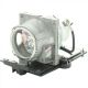 SAMSUNG SP-M250 Original Inside Projector Lamp - Replaces BP47-00058A