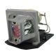 OPTOMA HD20-LV - SERIAL Q8HW Original Inside Projector Lamp - Replaces BL-FP230D / SP.8EG01GC01