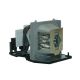 EC.J3001.001 Projector Lamp for ACER D7P0511