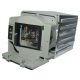 BL-FP180F / FX.PA884-2401 Projector Lamp for OPTOMA DAEXUUZ