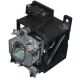 SIM2 TEATRO 80 Original Inside Projector Lamp - Replaces Z933791630