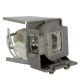 BL-FP240A / FX.PE884-2401 / FE.PE884-2401 Projector Lamp for OPTOMA DAEXLSG