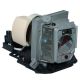 EC.J6900.001 Projector Lamp for ACER DSV0812