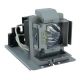 Genuine BENQ MX852UST Projector Lamp - 5J.J8M05.011