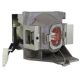 BENQ W2000+ Original Inside Projector Lamp - Replaces 5J.JEE05.001