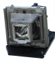 Genuine PANASONIC PT-AE8000E Projector Lamp - ET-LAA410